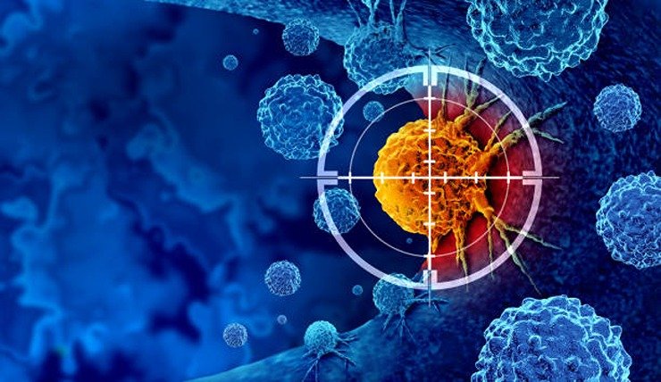 Oncology